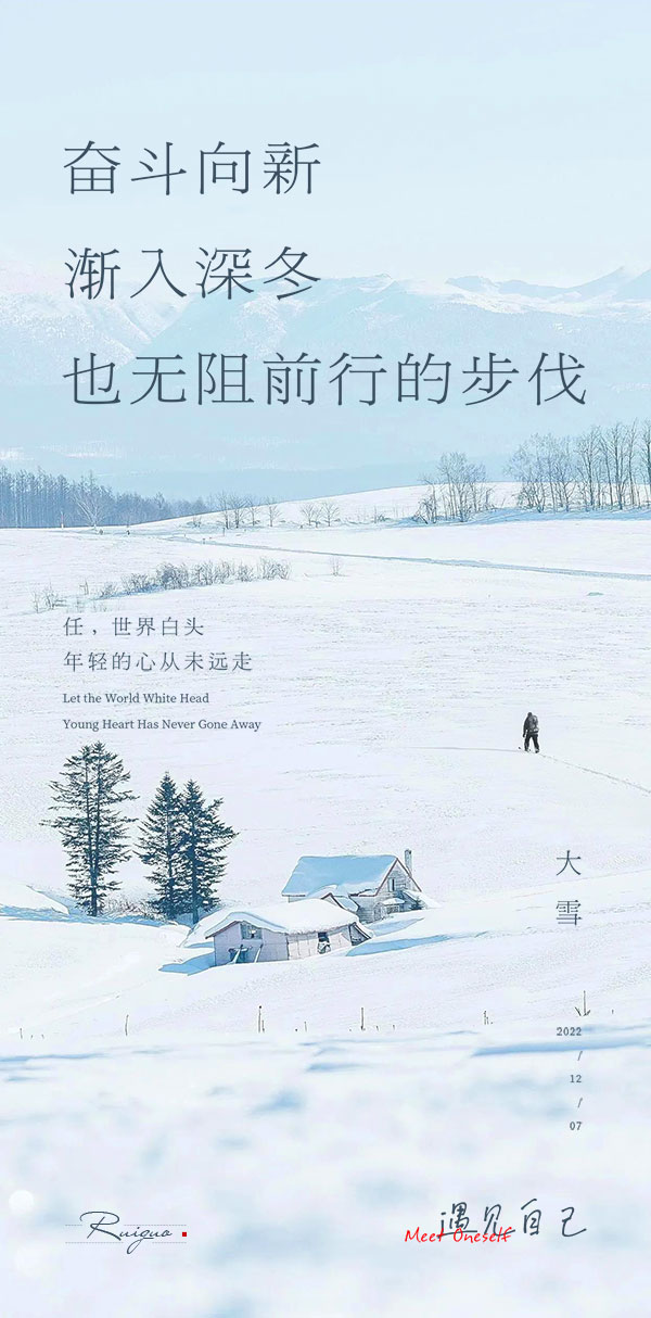 二十四24节气大雪海报设计地产企业推广宣传插画节日psd素材模版(31)