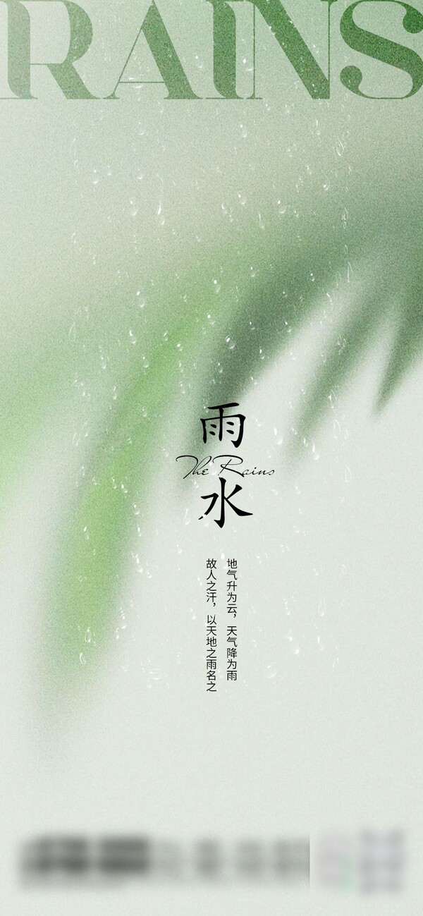 二十四24节气雨水下雨发芽海报企业推广宣传插画节日psd素材模版(3)