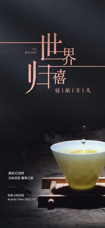 茶艺品茶茶叶茶杯煮茶文化宣传国风中式插画海报psd设计素材模版(31)