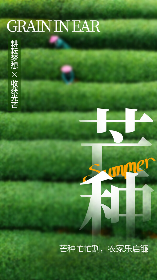 24节气节日节庆芒种海报模板PSD设计素材(113)