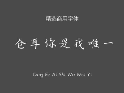 仓耳你是我唯一.ttf字体下载