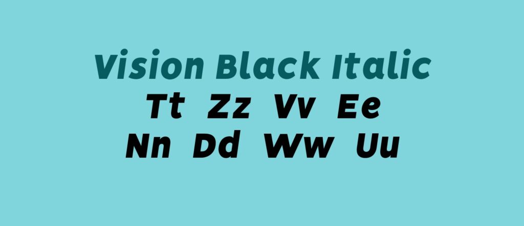 Vision-BlackItalic.otf (Vision英文)