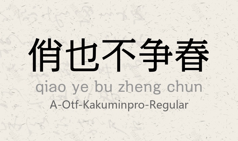 KakuminPro-Regular常规.otf (カク明朝)