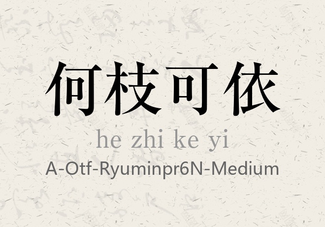 RyuminPr6N-Medium.otf (森泽龙明朝)