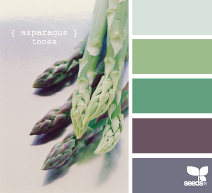 实物配色搭配方案-食物asparagus_tones.jpg