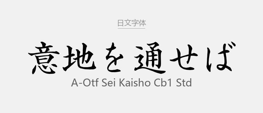 A-OTF Sei Kaisho CB1 Std.otf (日文字体)