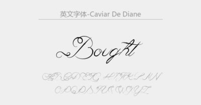 Caviar de Diane-Regular.ttf字体下载