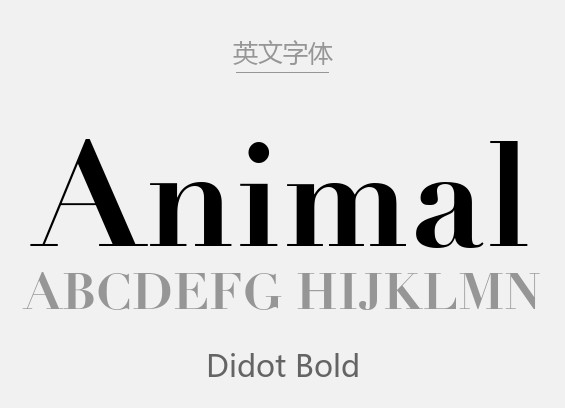 Didot.ttf字体下载