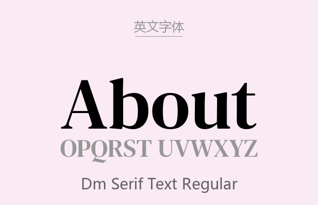 DM Serif Text Regular(DIN).ttf字体下载