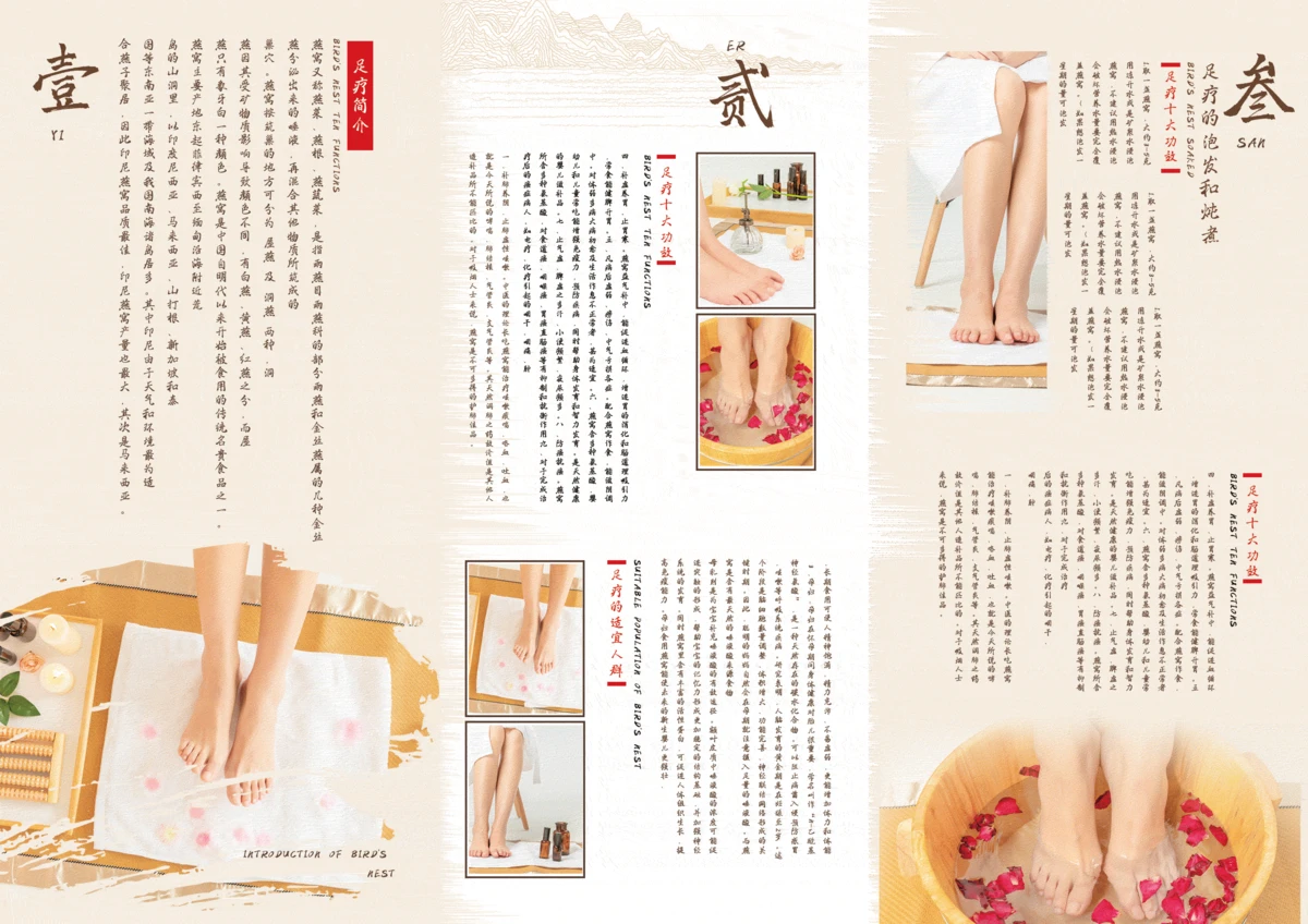 中医保健养生足疗艾灸3折页画册模板PSD设计素材(12)