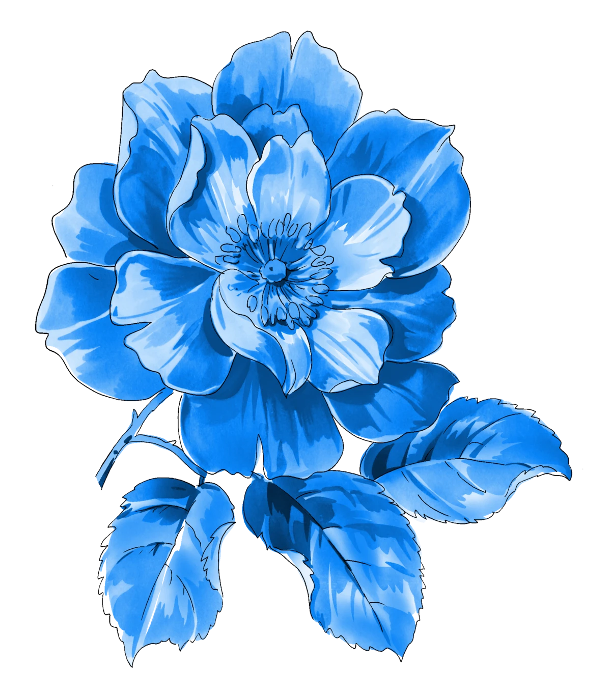 中国风传统青花瓷纹样花(48).png图片