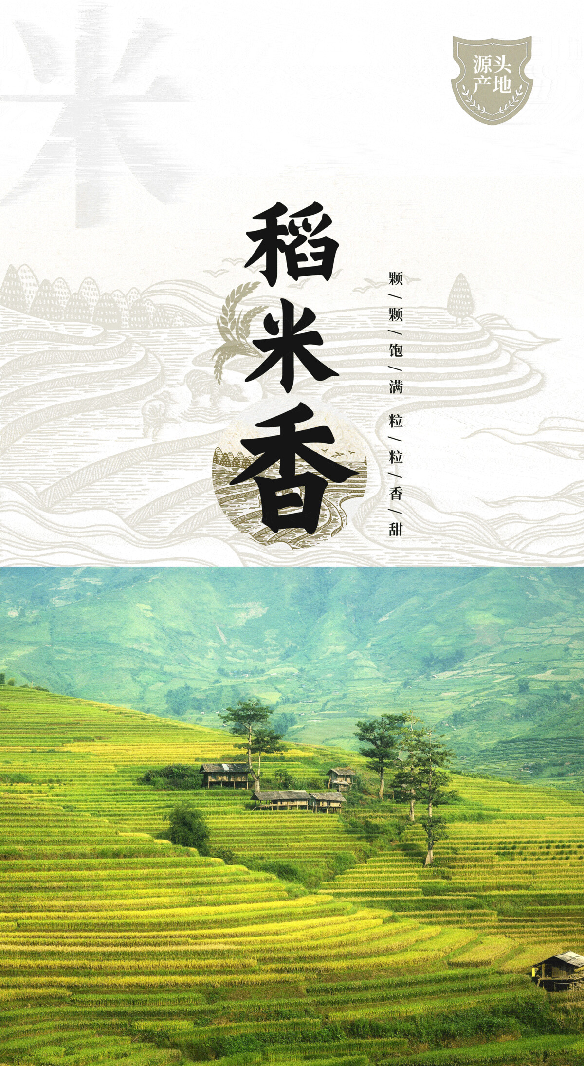 大米粮食五谷杂粮塑料袋子盒子展示样机PSD设计AI包装素材模板(48)