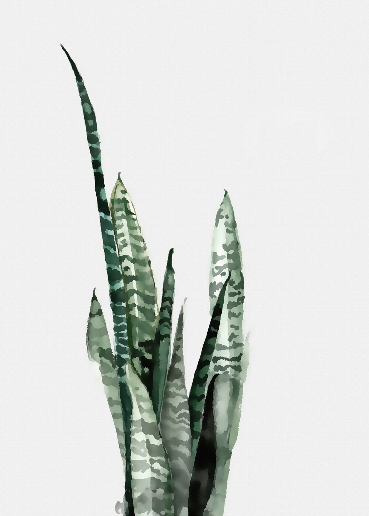 北欧风水彩风植物动物叶子花朵大自然大图插画模板素材(13).jpg图片