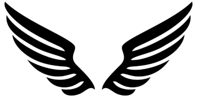 翅膀PNG透明素材 无色透底翅膀