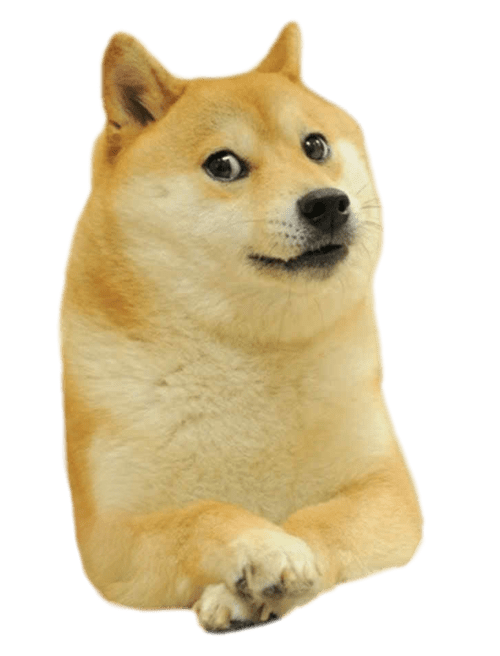 高清无色底图 透明Doge（模因）PNG图