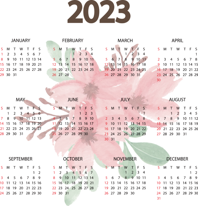数字无背景图 日历2023高清透明PNG