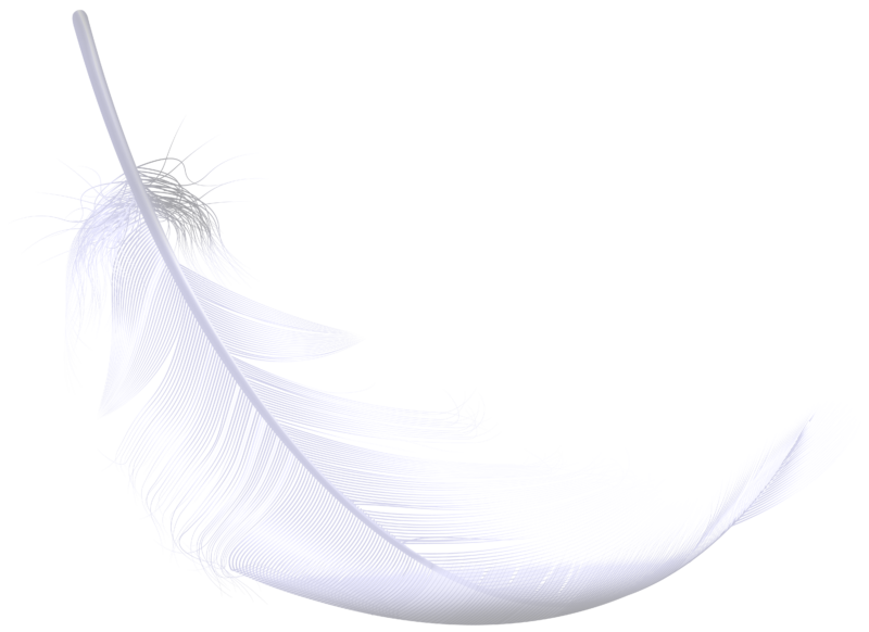 免费动物透明元素图 Feather羽毛PNG图片