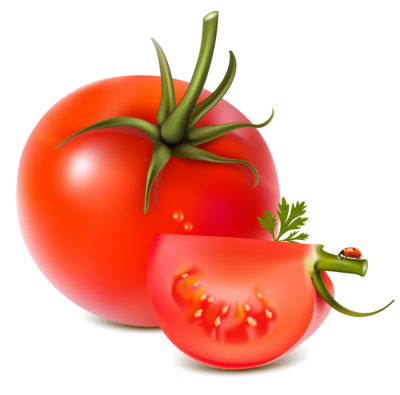 高清番茄PNG图片 透明番茄元素图Tomato