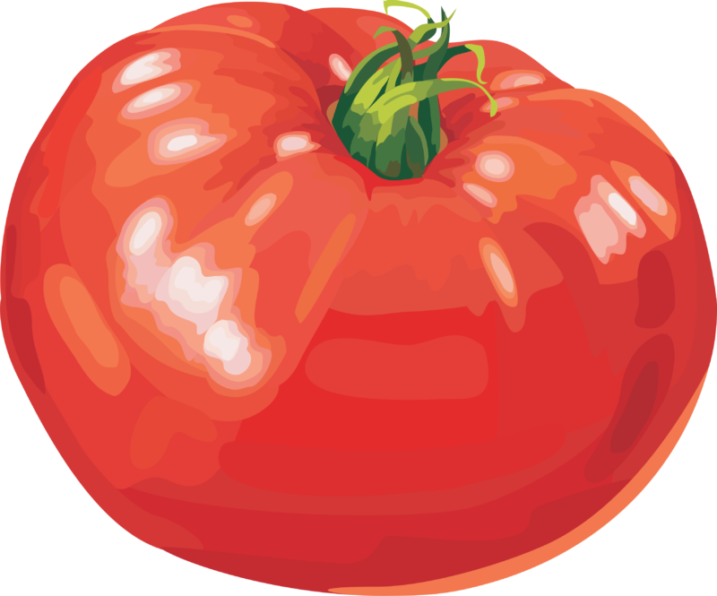 高清透明番茄元素图 Tomato PNG番茄图片