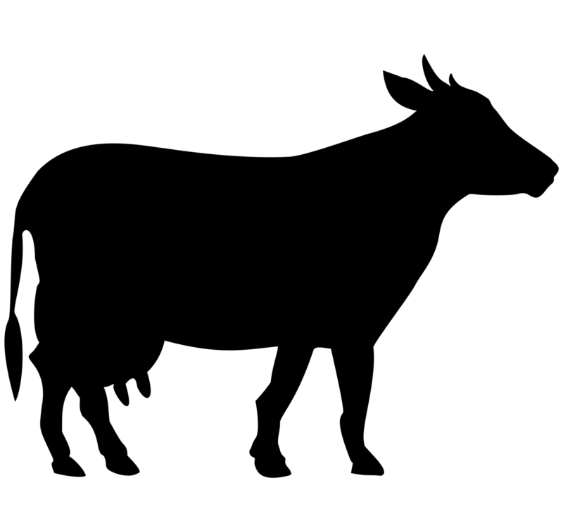 免费高清牛PNG素材 透明牛无背景图
