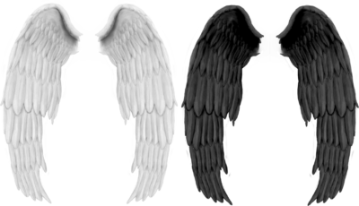 幻想，宗教高清透明底图 翅膀PNG素材图片