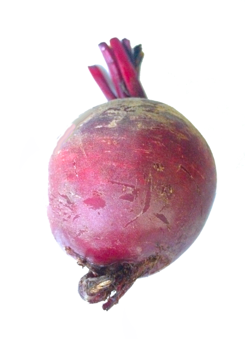 高清甜菜PNG图片 透明甜菜元素图Beet