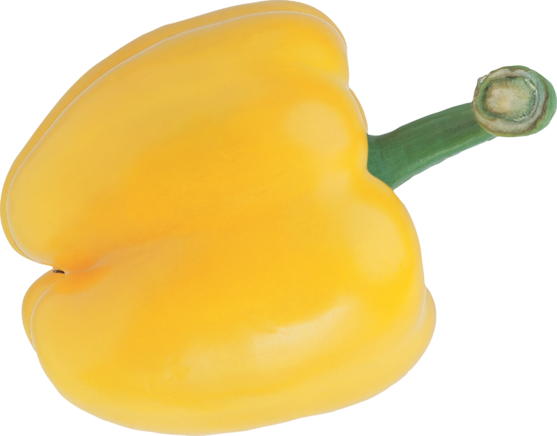 胡椒PNG图片 透明胡椒元素图Pepper