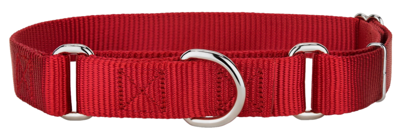 高清透明狗项圈元素图 Dog collar PNG狗项圈图片