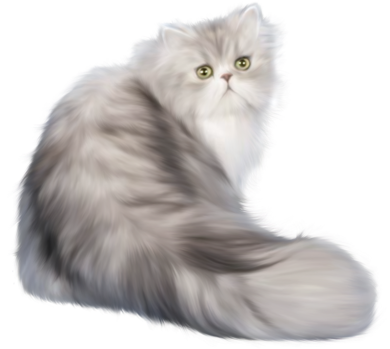 高清动物PNG图片 透明猫无色底图