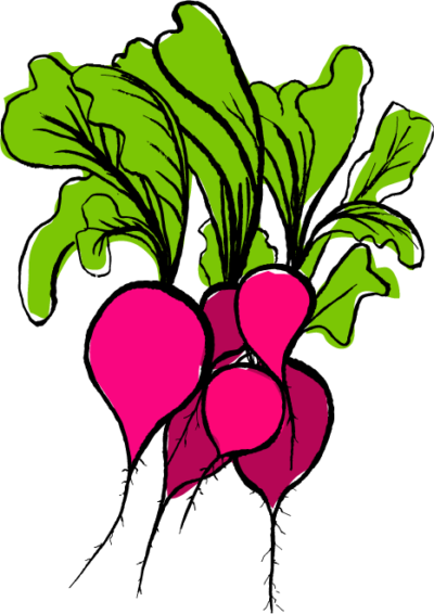 蔬菜免抠素材 萝卜高清透明PNG
