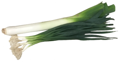 免费透明背景图 韭菜高清PNG