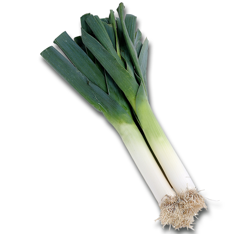 韭菜透明背景图 韭菜高清PNG