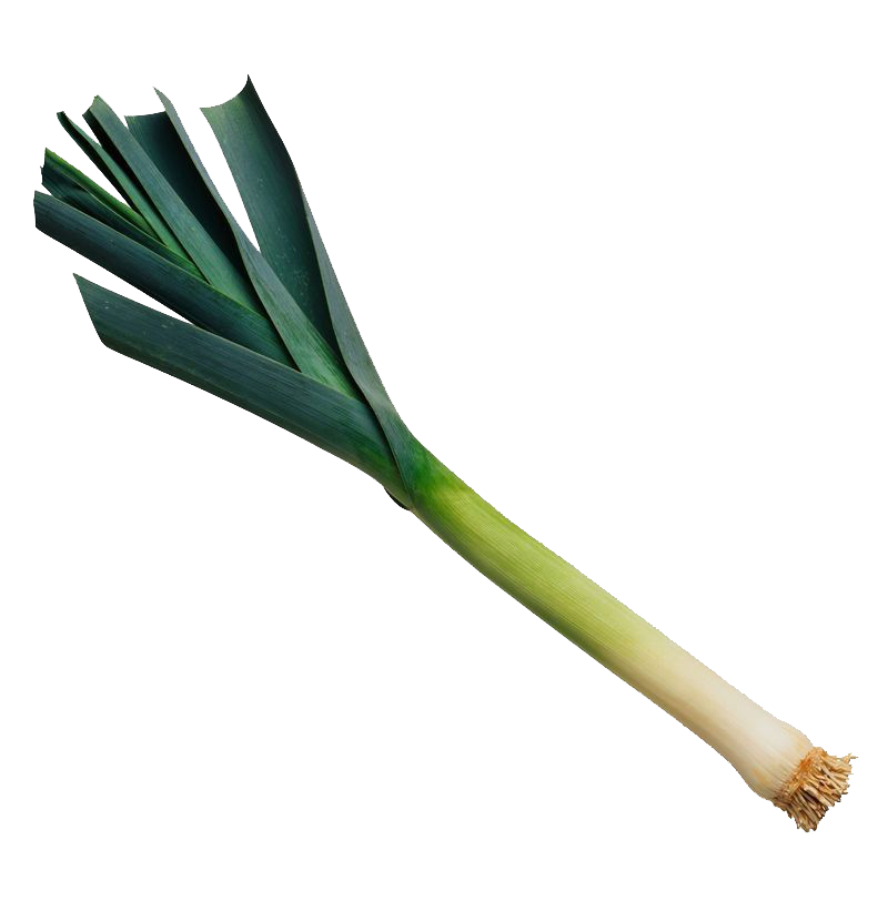 韭菜PNG图片 透明韭菜元素图Leek