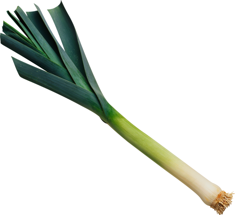 免费透明背景图 韭菜高清PNG