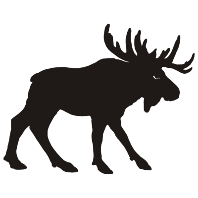 免费动物透明元素图 Moose, elk驼鹿，麋鹿PNG图片