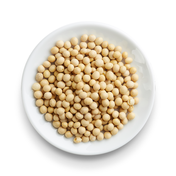大豆PNG免抠素材 大豆透明图片