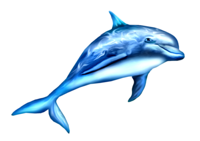 高清海豚PNG图片 透明海豚元素图Dolphin