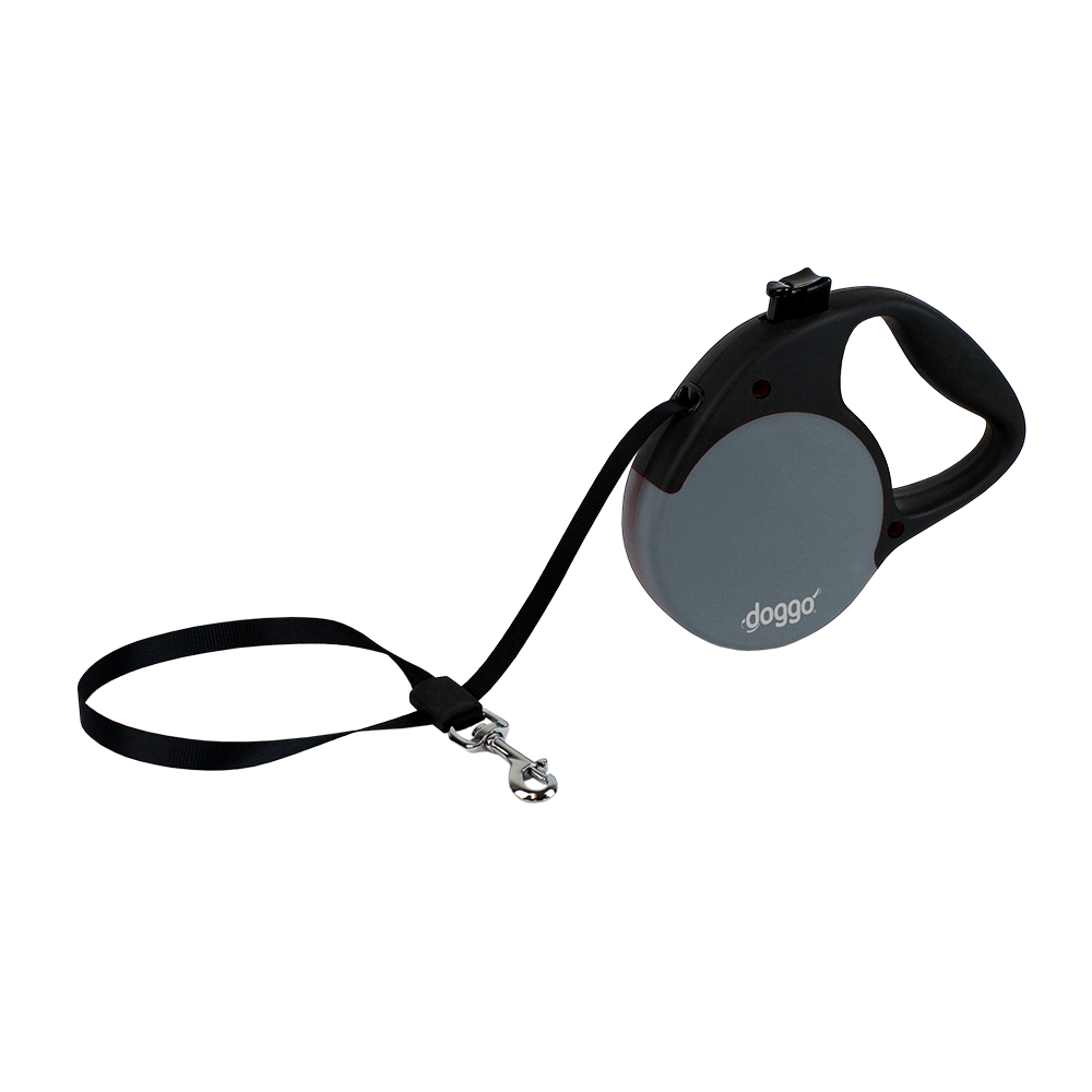 高清皮带PNG图片 透明皮带元素图Leash