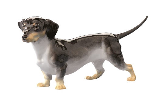 动物高清PNG透明素材 腊肠犬无背景图