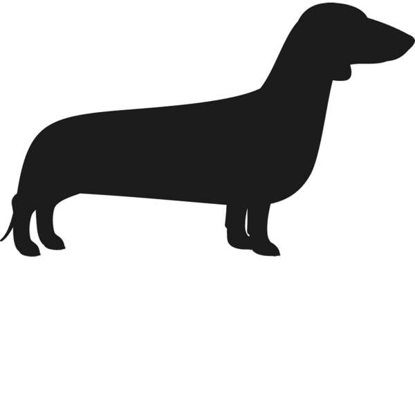 腊肠犬高清PNG图 腊肠犬无色透明图