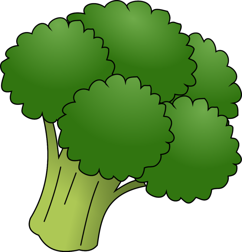 免费高清西兰花PNG素材 透明西兰花无背景图
