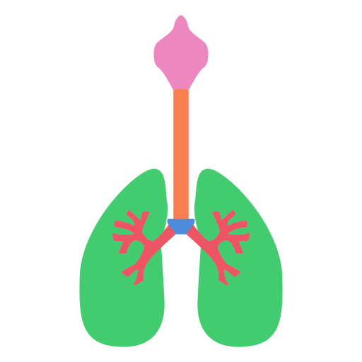 人们透明背景图 肺高清PNG素材