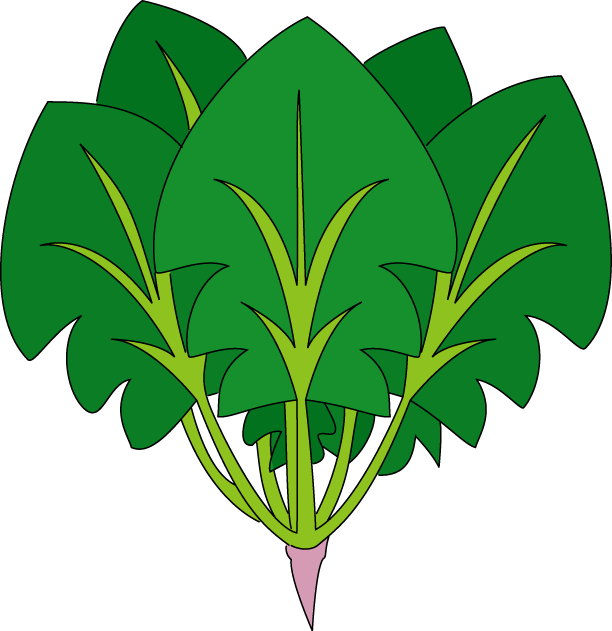 蔬菜高清PNG透明素材 菠菜无背景图