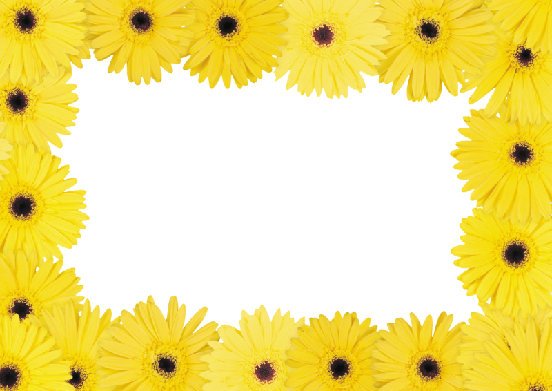 高清透明花架元素图 Floral frame PNG花架图片