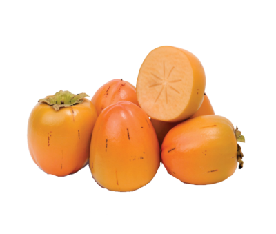 柿子PNG图片 透明柿子元素图Persimmon