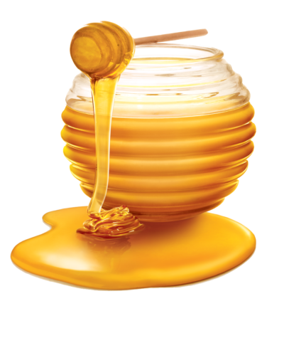 高清蜜糖PNG图片 透明蜜糖元素图Honey