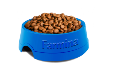高清狗粮PNG图片 透明狗粮元素图Dog food