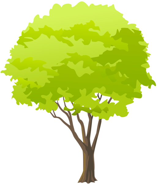 高清透明树元素图 Tree PNG树图片