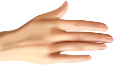高清手PNG图片 透明手元素图Hands
