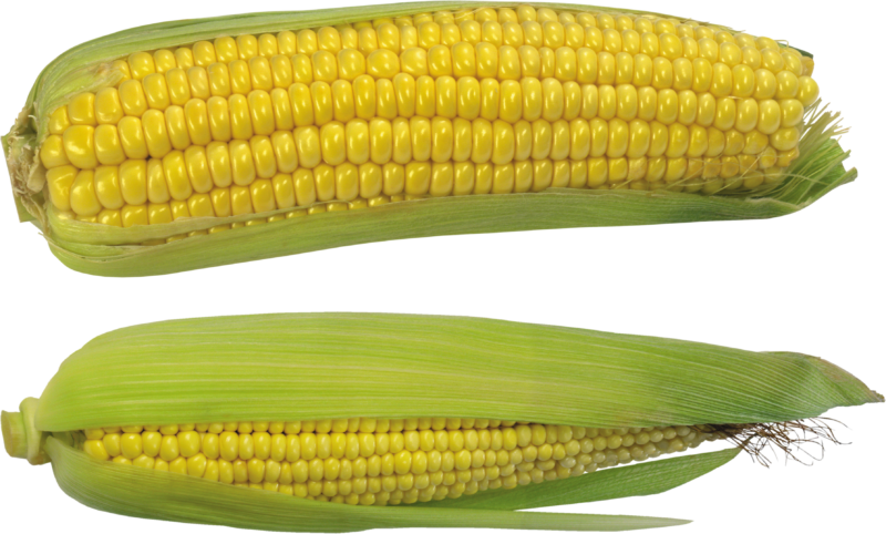 蔬菜免抠素材 玉米高清透明PNG